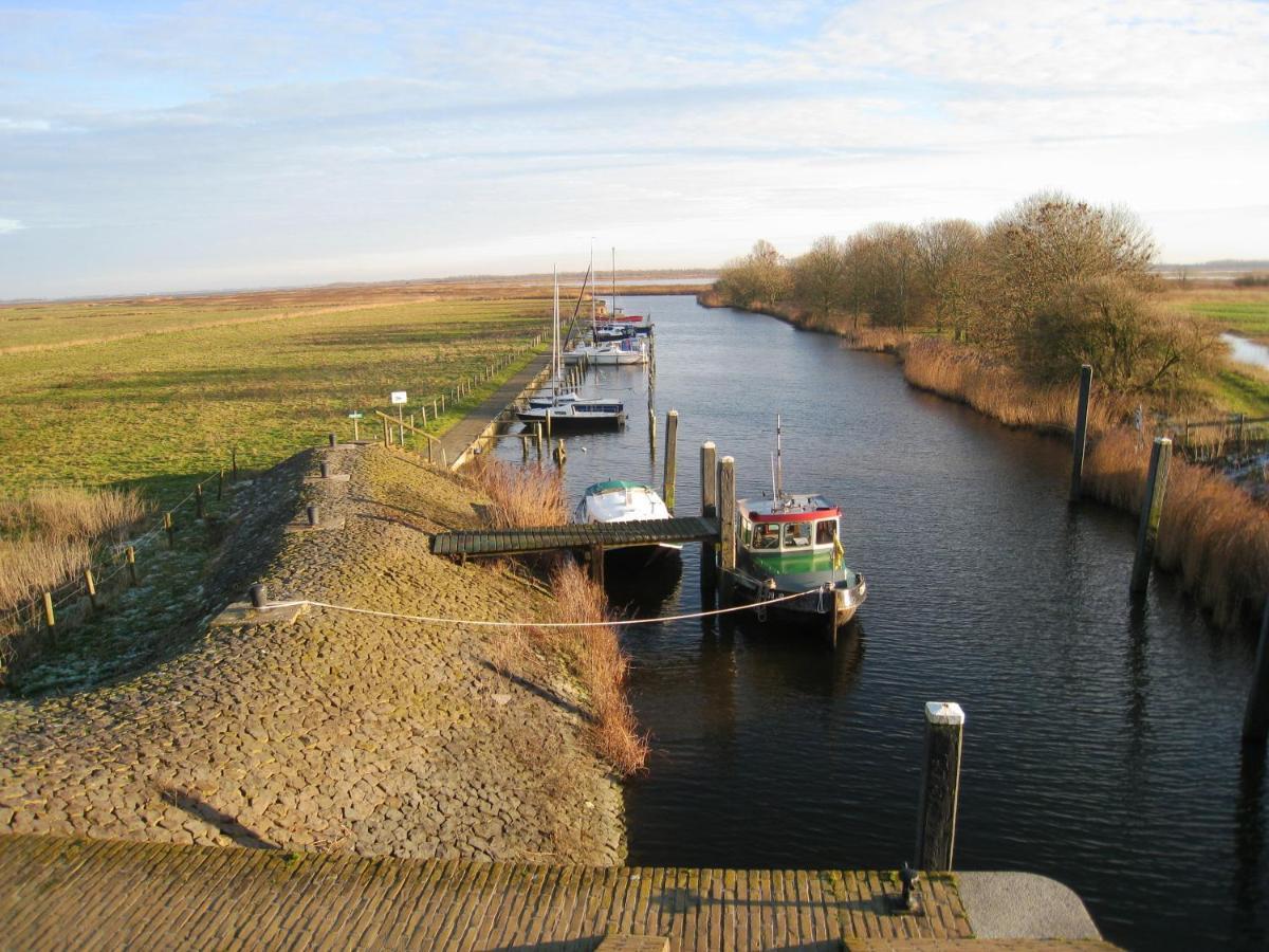Haus Kormoran Am Lauwersmeer 175 Anjum ภายนอก รูปภาพ