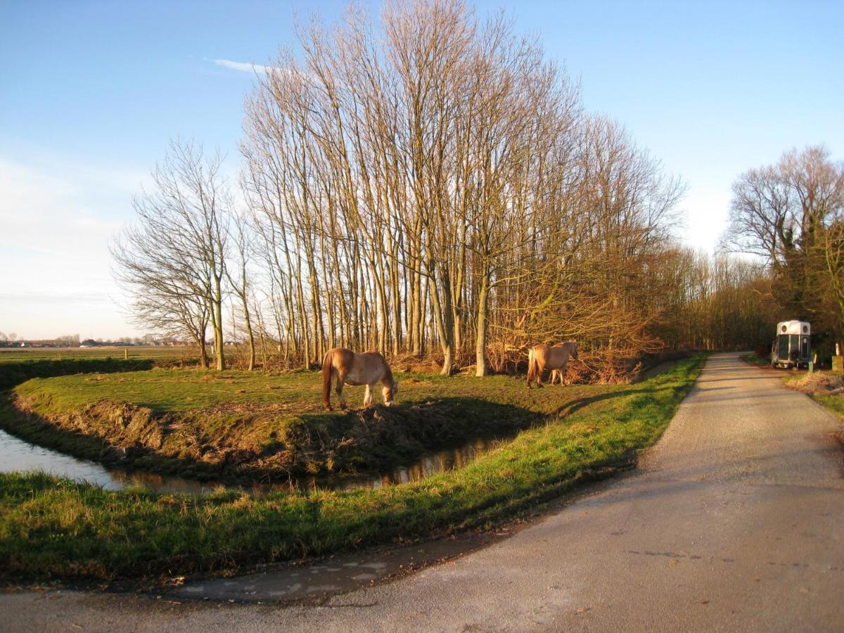 Haus Kormoran Am Lauwersmeer 175 Anjum ภายนอก รูปภาพ