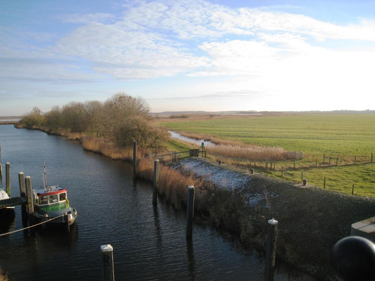 Haus Kormoran Am Lauwersmeer 175 Anjum ภายนอก รูปภาพ